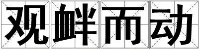 觀釁而動