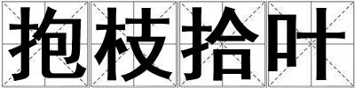 抱枝拾葉