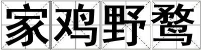 家雞野鶩