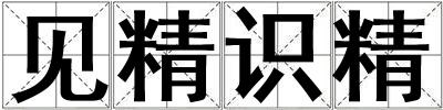 見精識精