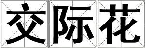 交際花