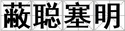 蔽聰塞明