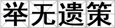 舉無遺策