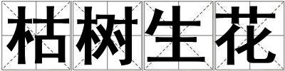枯樹生花