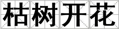 枯樹開花