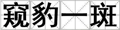 窺豹一斑