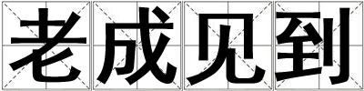 老成見到