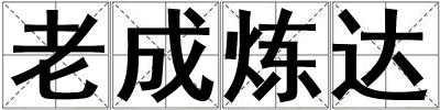 老成煉達(dá)