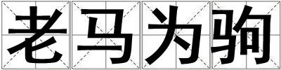 老馬為駒