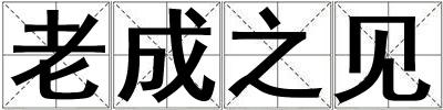 老成之見