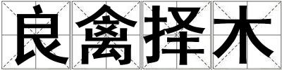 良禽擇木
