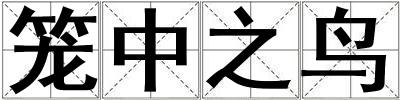 籠中之鳥