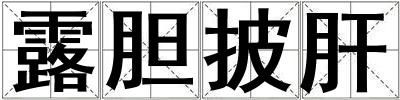 露膽披肝