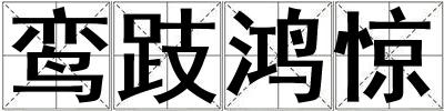 鸞跂鴻驚