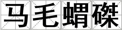 馬毛蝟磔