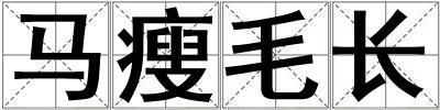 馬瘦毛長