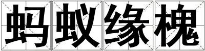 螞蟻緣槐