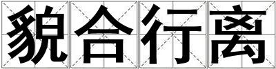 貌合行離