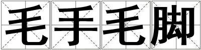 毛手毛腳
