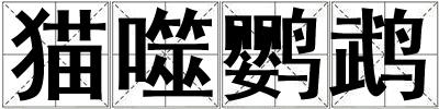 貓噬鸚鵡