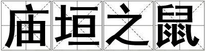 廟垣之鼠