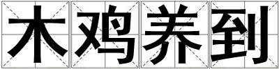 木雞養到