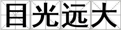 目光遠大