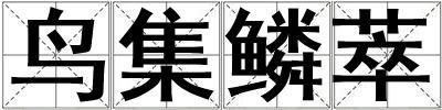 鳥(niǎo)集鱗萃