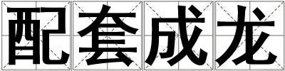 配套成龍