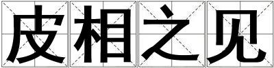 皮相之見