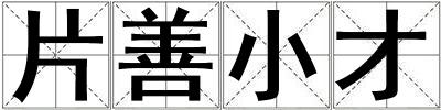 片善小才