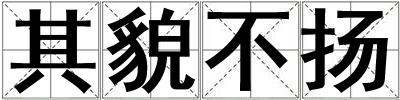 其貌不揚