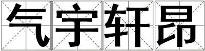 氣宇軒昂