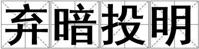 棄暗投明