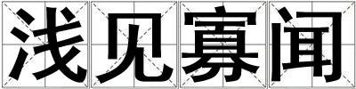 淺見寡聞