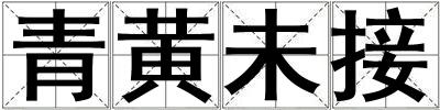 青黃未接