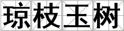 瓊枝玉樹(shù)