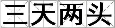 三天兩頭