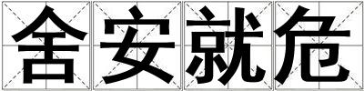 舍安就危