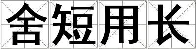 舍短用長