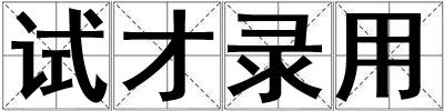 試才錄用