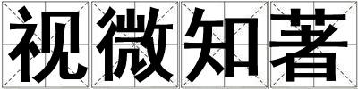 視微知著