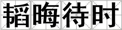韜晦待時
