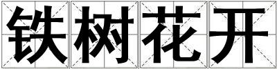 鐵樹花開