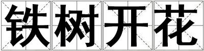 鐵樹開花