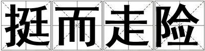 挺而走險