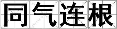 同氣連根