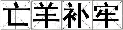 亡羊補牢