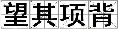 望其項背