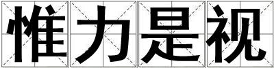 惟力是視